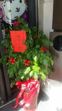 大家房屋開幕茶會