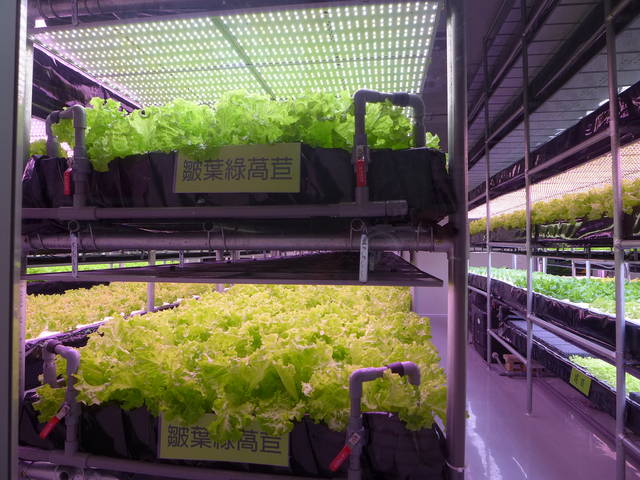 102/08/28~29【台南四草文化精緻之旅】二日遊